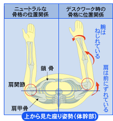 臀部、股関節、膝、足首、足趾の症状